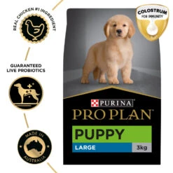Purina Pro Plan Puppy Large Breed Chicken Dry Dog Food -KONG Shop NEST 9300605149694 20