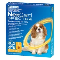NexGard Spectra For Small Dogs (3.6 - 7.5 Kg) -KONG Shop NexGardSpectraChewablesforSmallDogs6pk