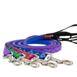 LupinePet El Paso Original Designs Dog Leash -KONG Shop OriginalDesignsDogLeash a9c82625 b313 4742 a0fd d91615078896