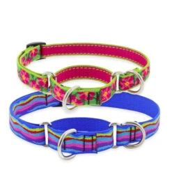 LupinePet Rose Garden Dog Original Designs Martingale Collar For Training -KONG Shop OriginalDesignsMartingaleCollarforTraining1 f4d3a59d 34e9 4deb a2cc f0295692d45c