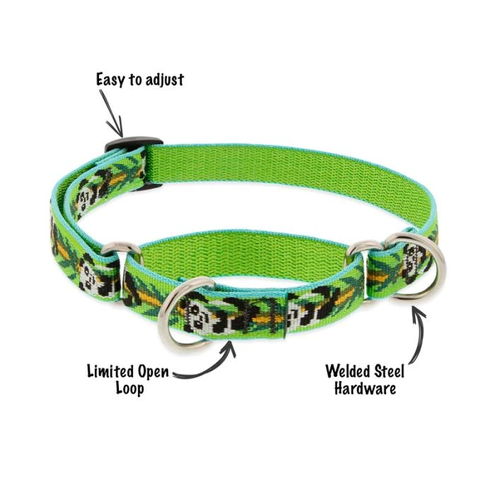 LupinePet Alpen Glow Dog Original Designs Martingale Collar For Training 4 LupinePet Alpen Glow Dog Original Designs Martingale Collar For Training - Image 2