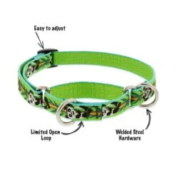 LupinePet Bling Bonz Dog Original Designs Martingale Collar For Training -KONG Shop OriginalDesignsMartingaleCollarforTraining e16ce5f9 1f8e 4499 b786 4e0cab9fc20d