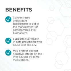 PAW Hepatoadvanced Cat & Small Dog (<15kg) -KONG Shop PAW 41566 7