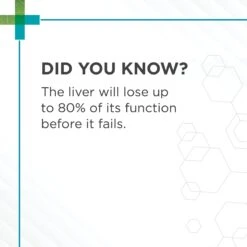 PAW Hepatoadvanced Cat & Small Dog (<15kg) -KONG Shop PAW 41566 8