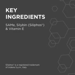 PAW Hepatoadvanced Cat & Small Dog (<15kg) -KONG Shop PAW 41566 9