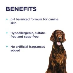 PAW Sensitive Skin Shampoo -KONG Shop PAW 9300807258156 7