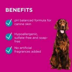 PAW Sensitive Skin Conditioner -KONG Shop PAW 9300807299494 7