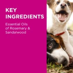 PAW Sensitive Skin Conditioner -KONG Shop PAW 9300807299494 9