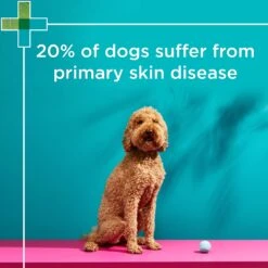 PAW Nutriderm 200ml Shampoo & 200ml Conditioner Twin Pack -KONG Shop PAW 9300807299753 8