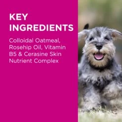 PAW Nutriderm 200ml Shampoo & 200ml Conditioner Twin Pack -KONG Shop PAW 9300807299753 9