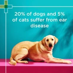 PAW Gentle Ear Cleaner -KONG Shop PAW 93894586 8