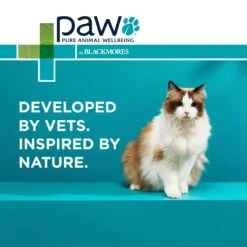 PAW Osteosupport Joint Care Powder For Cats -KONG Shop PAW 93894722 13