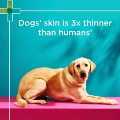 PAW 2 In 1 Conditioning Shampoo -KONG Shop PAWbyBlackmores2in1ConditioningShampooforDogs 500ml 8