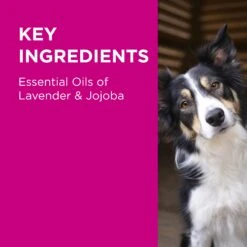 PAW 2 In 1 Conditioning Shampoo -KONG Shop PAWbyBlackmores2in1ConditioningShampooforDogs 500ml 9