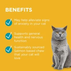 PAW Complete Calm Chews For Cats -KONG Shop PAWbyBlackmoresCompleteCalmMultivitaminsforCats 63Chews 7