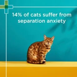 PAW Complete Calm Chews For Cats -KONG Shop PAWbyBlackmoresCompleteCalmMultivitaminsforCats 63Chews 8