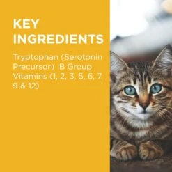 PAW Complete Calm Chews For Cats -KONG Shop PAWbyBlackmoresCompleteCalmMultivitaminsforCats 63Chews 9