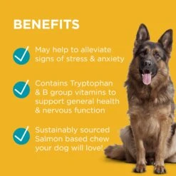 PAW Complete Calm Chews For Dogs -KONG Shop PAWbyBlackmoresCompleteCalmMultivitaminsforDogs 60Chews 7