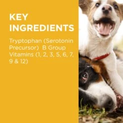 PAW Complete Calm Chews For Dogs -KONG Shop PAWbyBlackmoresCompleteCalmMultivitaminsforDogs 60Chews 9