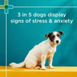 PAW Complete Calm Chews For Small Dogs -KONG Shop PAWbyBlackmoresCompleteCalmMultivitaminsforSmallDogs 30Chews 8