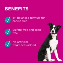 PAW Conditioning & Grooming Spray -KONG Shop PAWbyBlackmoresConditioningandGroomingSprayforDogs 200ml 7