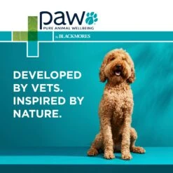 PAW DigestiCare Powder For Dogs & Cats -KONG Shop PAWbyBlackmoresDigesticare ProbioticPowderforDogsandCats 150g 13 1