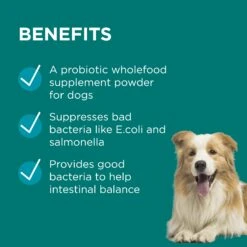 PAW DigestiCare Powder For Dogs & Cats -KONG Shop PAWbyBlackmoresDigesticare ProbioticPowderforDogsandCats 150g 7 1