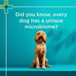 PAW DigestiCare Powder For Dogs & Cats -KONG Shop PAWbyBlackmoresDigesticare ProbioticPowderforDogsandCats 150g 8 1