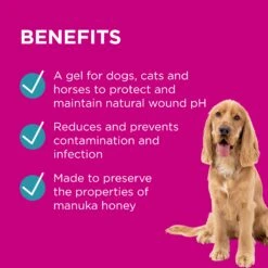 PAW Manuka Wound Gel Tube -KONG Shop PAWbyBlackmoresManukaWoundGelforDogs CatsandHorses 100g 7