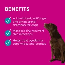 PAW Mediderm Shampoo -KONG Shop PAWbyBlackmoresMediderm GentleMedicatedShampooforDogs 200ml 7