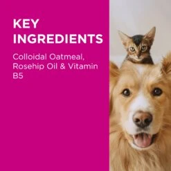 PAW Nutriderm Shampoo -KONG Shop PAWbyBlackmoresNutriDerm ReplenishingShampooforDogsandCats 500ml 9