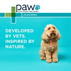 PAW Osteocare Joint Health Chews For Dogs -KONG Shop PAWbyBlackmoresOsteocare JointProtectforDogs 100Chews 13