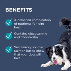 PAW Osteocare Joint Health Chews For Dogs -KONG Shop PAWbyBlackmoresOsteocare JointProtectforDogs 100Chews 7