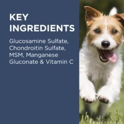 PAW Osteocare Joint Health Chews For Dogs -KONG Shop PAWbyBlackmoresOsteocare JointProtectforDogs 100Chews 9