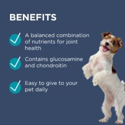 PAW Osteocare Chews For Small Dogs 14 PAW Osteocare Chews For Small Dogs -KONG Shop PAWbyBlackmoresOsteocare JointProtectforSmallDogs 30Chews 7 1