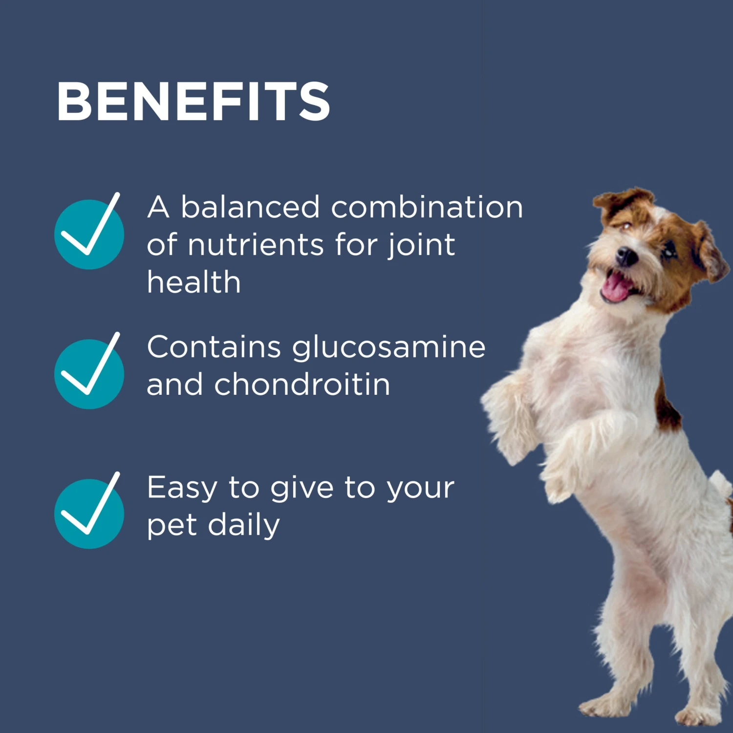 PAW Osteocare Chews For Small Dogs 6 PAW Osteocare Chews For Small Dogs - Image 4