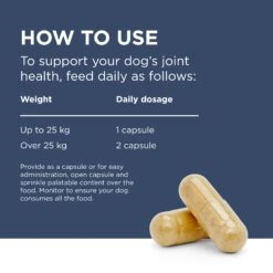 PAW Osteosupport Powder Dog -KONG Shop PAWbyBlackmoresOsteosupport JointCarePowderforDogs 150Capsules 10 1