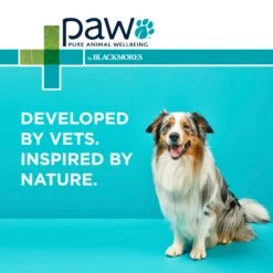 PAW Osteosupport Powder Dog -KONG Shop PAWbyBlackmoresOsteosupport JointCarePowderforDogs 150Capsules 13 1