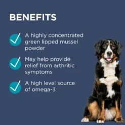 PAW Osteosupport Powder Dog -KONG Shop PAWbyBlackmoresOsteosupport JointCarePowderforDogs 150Capsules 7 1