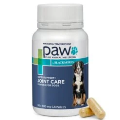 PAW Osteosupport Powder Dog -KONG Shop PAWbyBlackmoresOsteosupport JointCarePowderforDogs 80Capsules 1 1