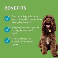 PAW Wellness + Vitality Multivitamin Chews For Dogs -KONG Shop PAWbyBlackmoresWellnessandVitalityMultivitaminsforDogs 60Chews 7