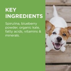 PAW Wellness + Vitality Multivitamin Chews For Dogs -KONG Shop PAWbyBlackmoresWellnessandVitalityMultivitaminsforDogs 60Chews 9