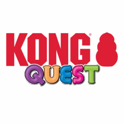 KONG Quest Star Pods -KONG Shop PE33 LOGO 1