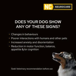Purina Pro Plan Veterinary Diet NeuroCare Adult Dog Dry Food -KONG Shop PPVDCANINENCNeuroCareDryFormula3