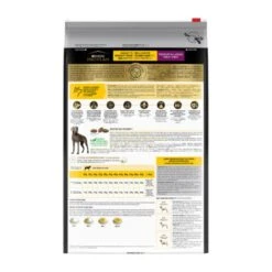 Purina Pro Plan Bright Mind Medium & Large Adult 7+ Dog Dry Food -KONG Shop PROPLANAdult7 BrightMind2