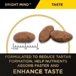 Purina Pro Plan Bright Mind Medium & Large Adult 7+ Dog Dry Food -KONG Shop PROPLANAdult7 BrightMind3