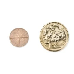 ParaGard Allwormer Tablets For Medium Dogs – 4 Pack (Green) -KONG Shop Paragard Allwormer For Medium Dogs2