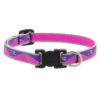 LupinePet Pink Paws Reflective Dog Collar 1.3cm