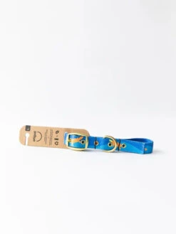 Anipal Piper The Platypus Dog Collar -KONG Shop PiperthePlatypusCollar2