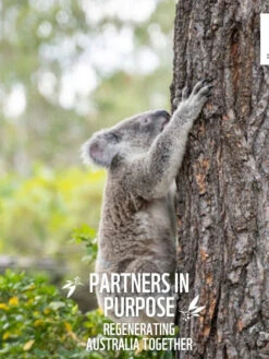 Anipal Piper The Platypus Dog Collar -KONG Shop PiperthePlatypusCollar4